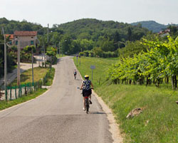  - Wine-Italy-Tocai-Rosso-wine-Road-Berici-Hills