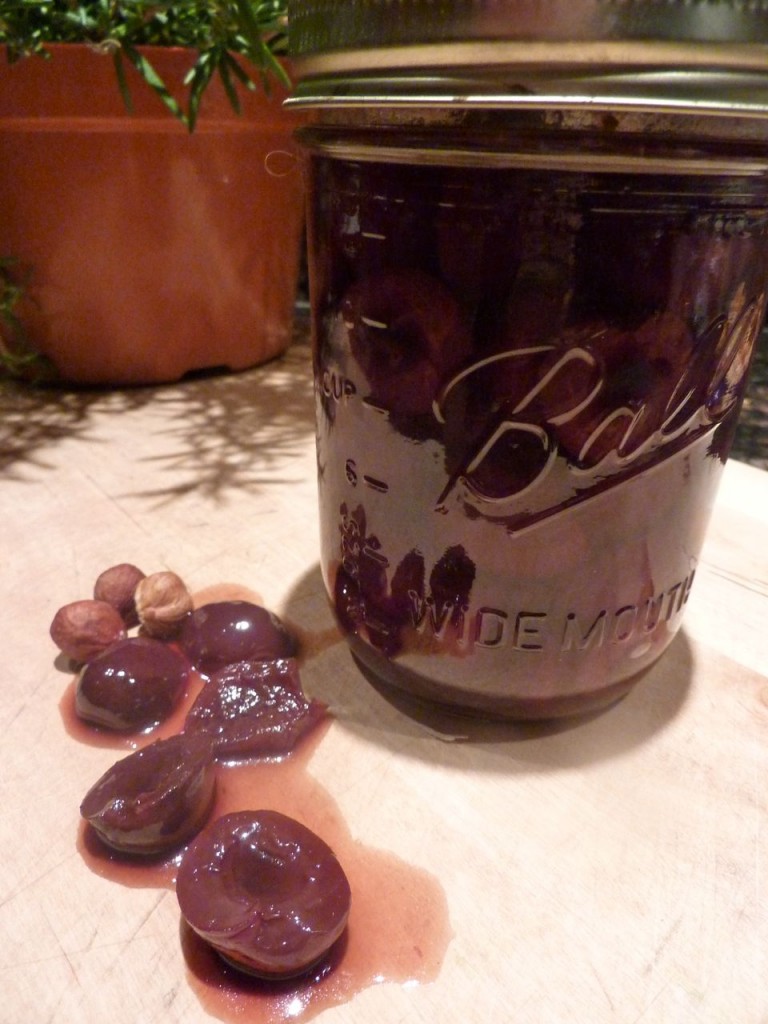 Canned cherries in wine bike tours italy