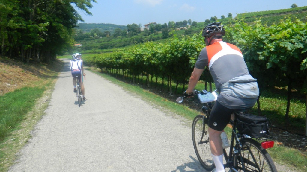 biking through vineyards cycling tours dolomites