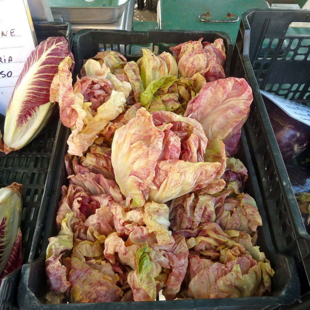 radicchio in market luxury villas italy