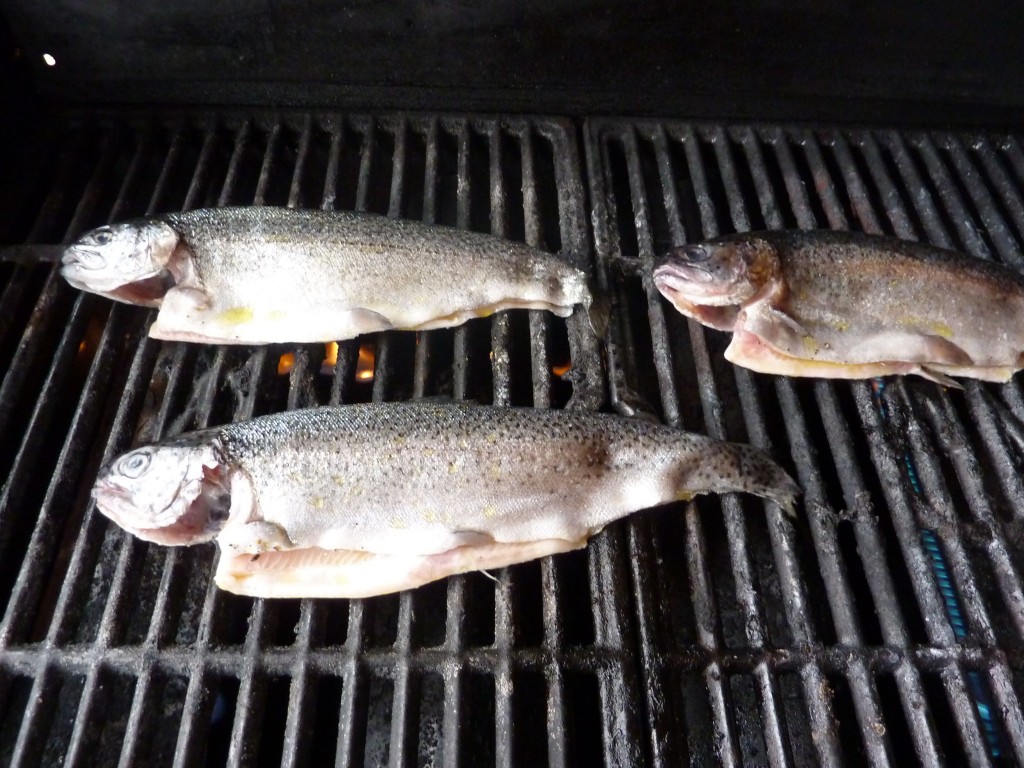 grilled trout cycling holidays europe