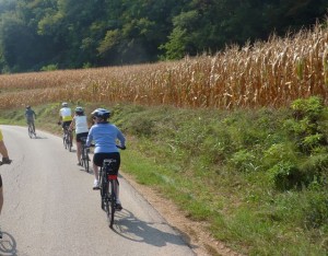 Corn fields along bike route - Italiaoutdoors italy bike tours
