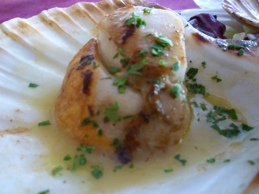 Cappesante - Broiled scallops - Italiaoutdoorsfoodandwine cycle tours italy