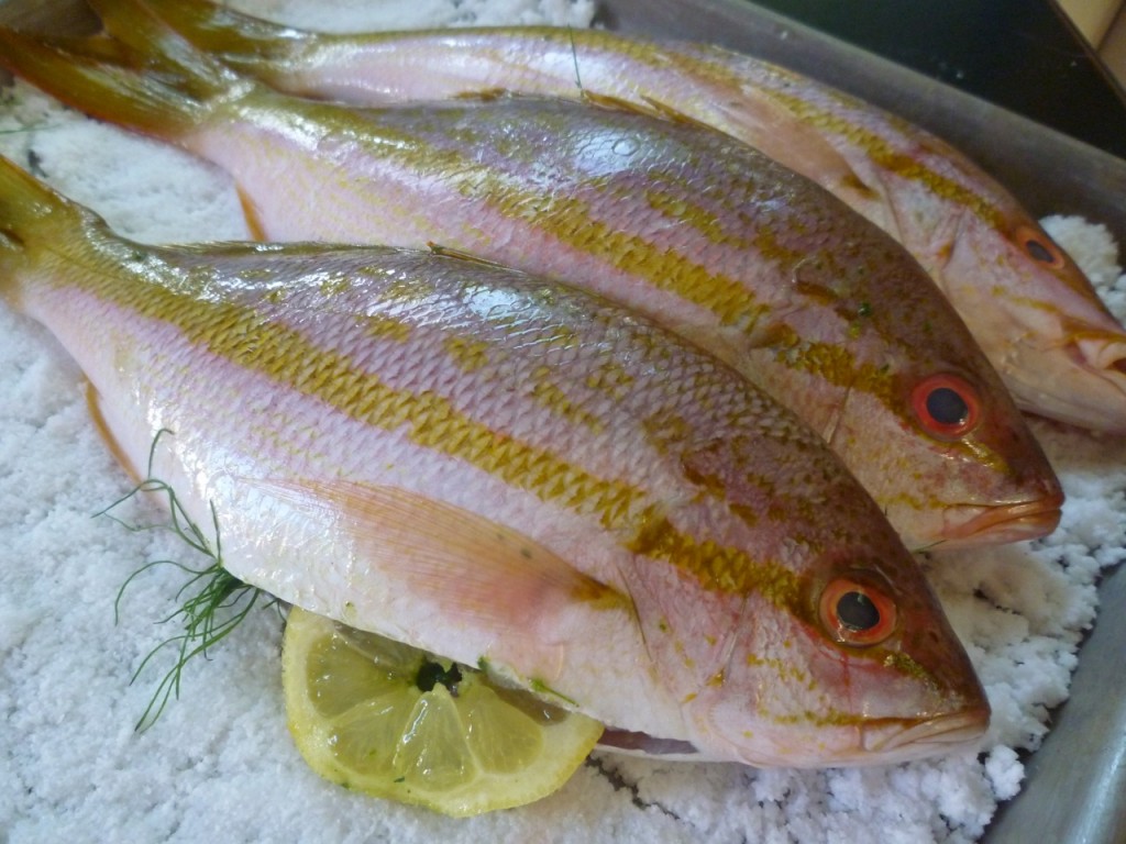 fish on salt ski holidays dolomites italiaoutdoorsfoodandwine