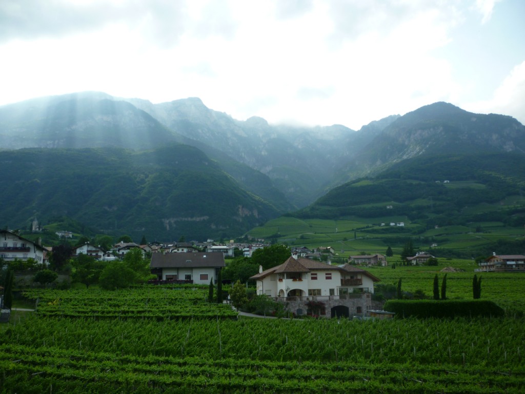 view from tramin ski tours dolomites - Italiaoutdoors Food and Wine