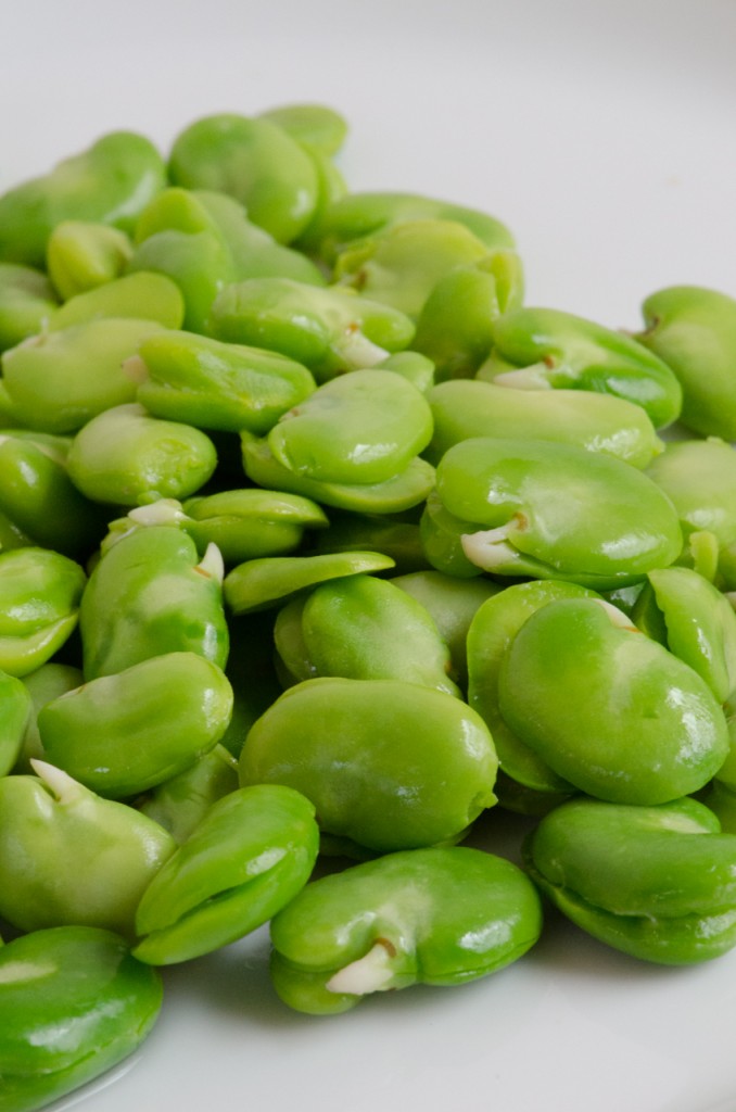 blanched favas dolomites cycling tours italiaoutdoors food and wine