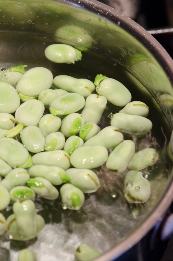blanching fava beans bike tours umbria italiaoutdoors food and wine