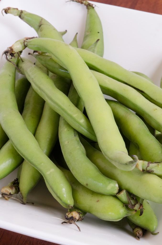 fava bean pods private bike tour italy italiaoutdoors food and wine