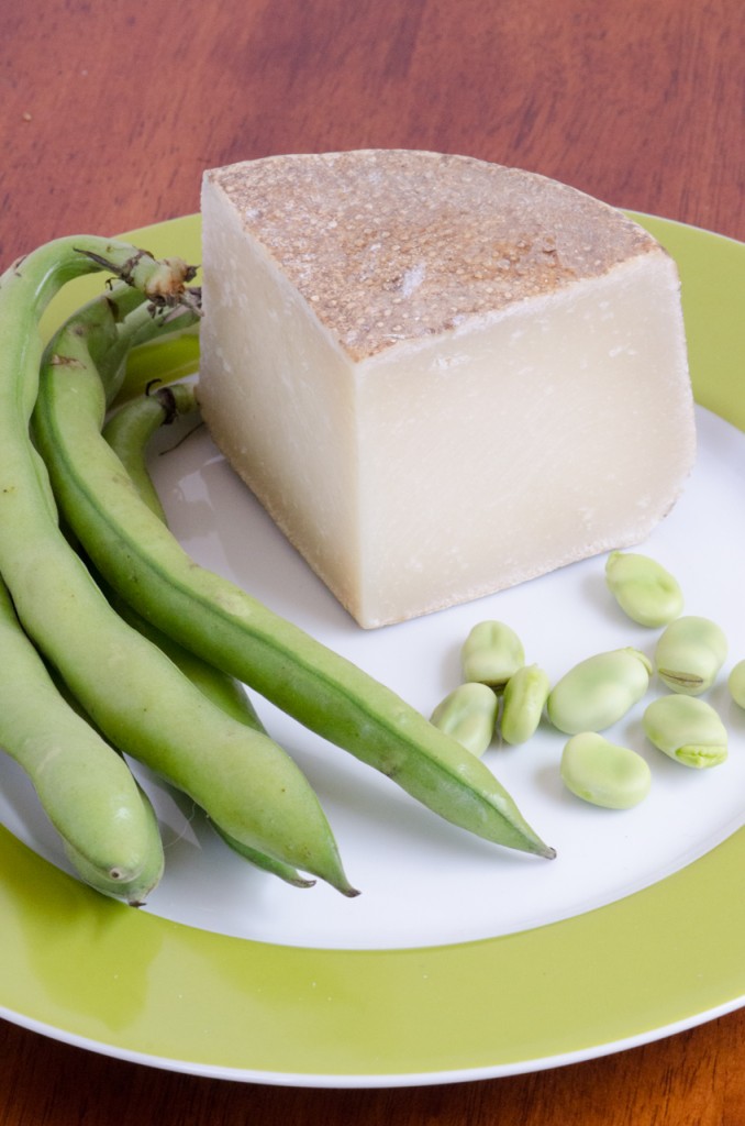 pecorino and favas private bike tours umbria italiaoutdoors food and wine