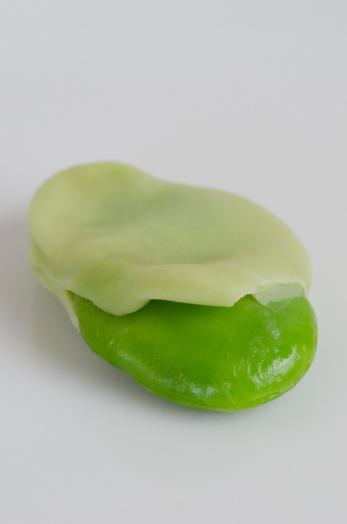 peeling fava cycling tours tuscany italiaoutdoors food and wine