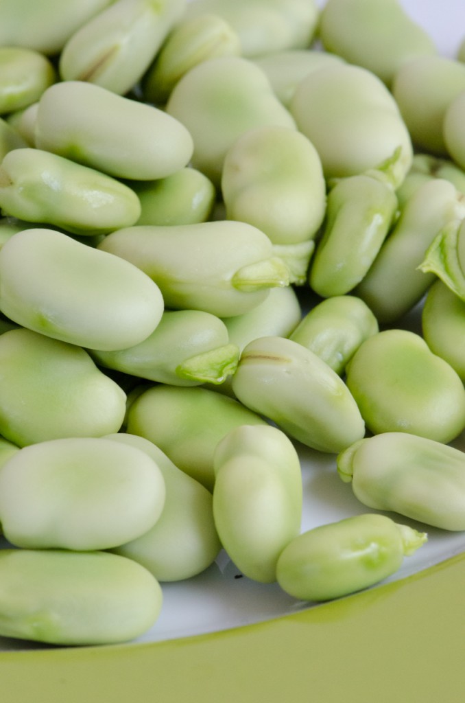 unpeeled fava beans wine cycling holidays italy italiaoutdoors food and wine