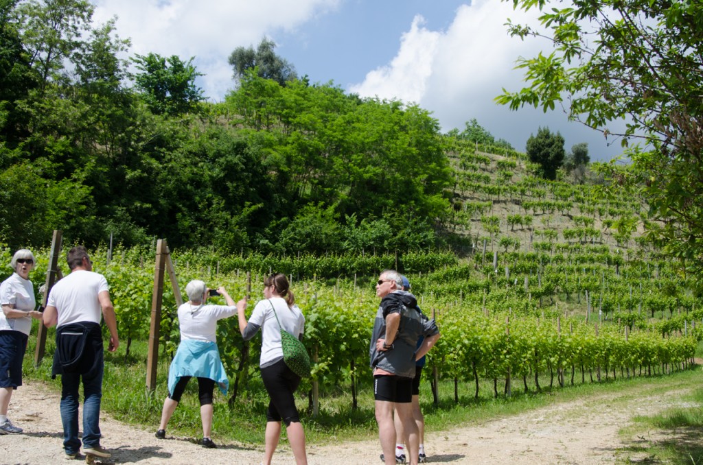 group at prettiest vineyard bicycle tours italy italiaoutdoors food and wine