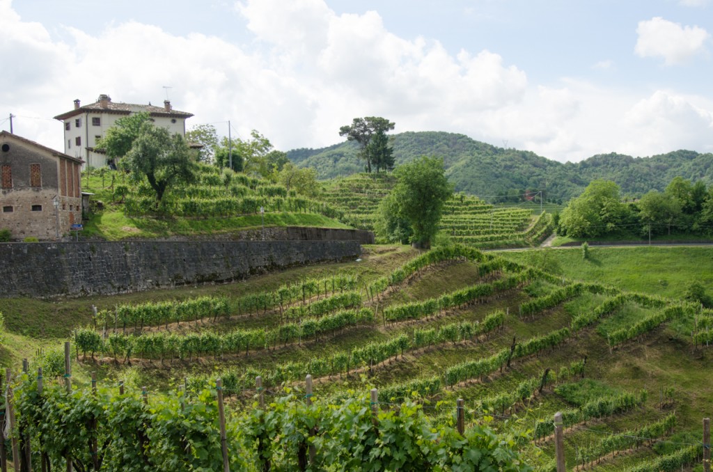 prosecco hills bike tours italy italiaoutdoors food and wine