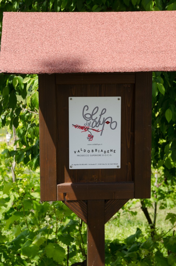 sign wine bike tours italy