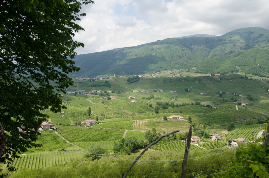 view from vineyards bike holidays italy italiaoutdoors food and wine