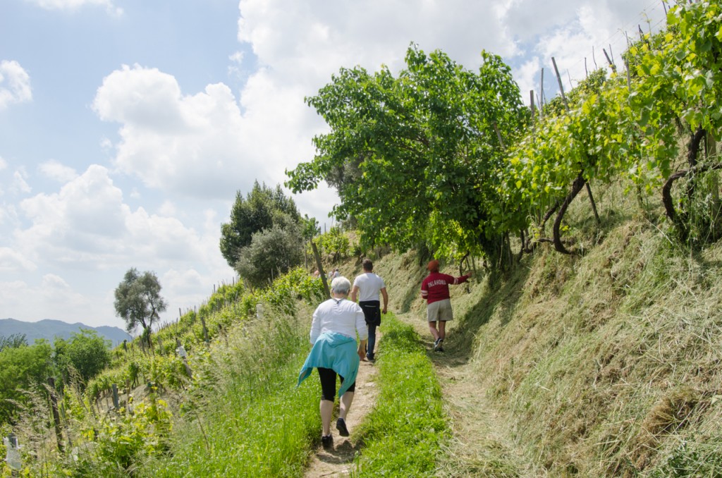 walk uphill bike tours italy italiaoutdoors food and wine