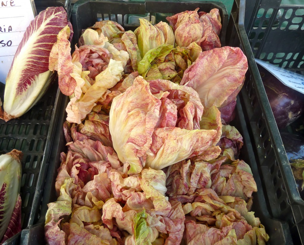 radicchio market wine bike tours umbria