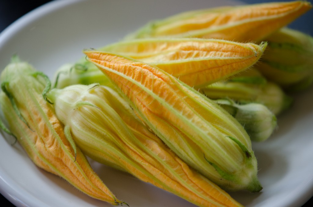 zucchini flowers bike tours italy