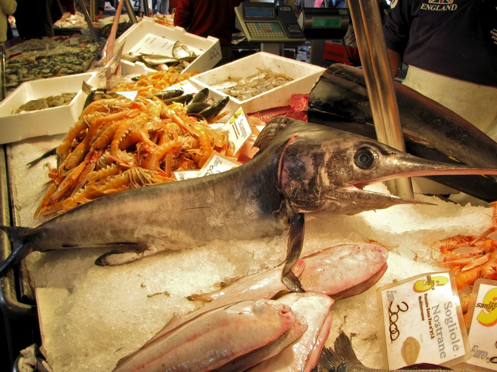 swordfish rialto bike tours italy italiaoutdoors food and wine