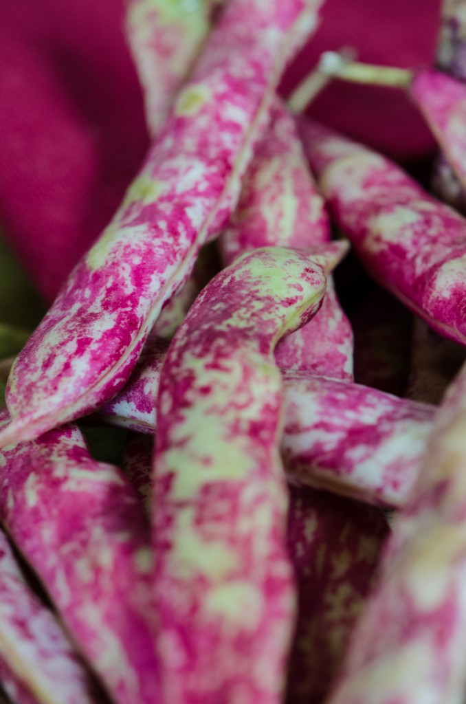 borlotti beans bike tours italy italiaoutdoors food and wine