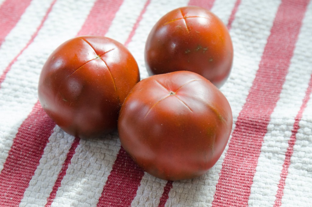 cut tomatoes bike tours tuscany italiaoutdoors food and wine