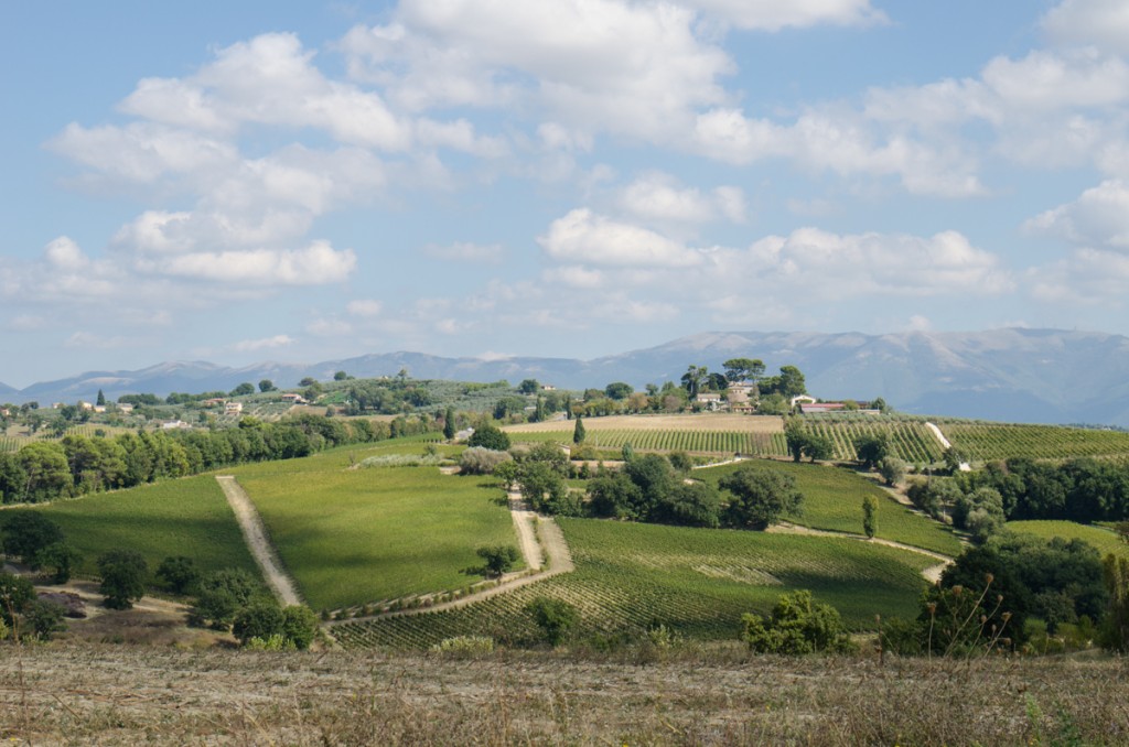 montefalco vineyards bike tours italiaoutdoors food and wine