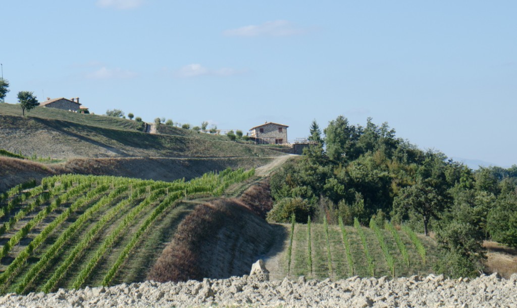 umbria vineyards bike tours italiaoutdoors food and wine