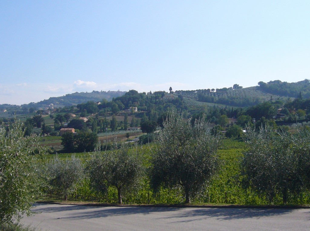 vineyards in umbria wine bike tours italy italiaoutdoors food and wine