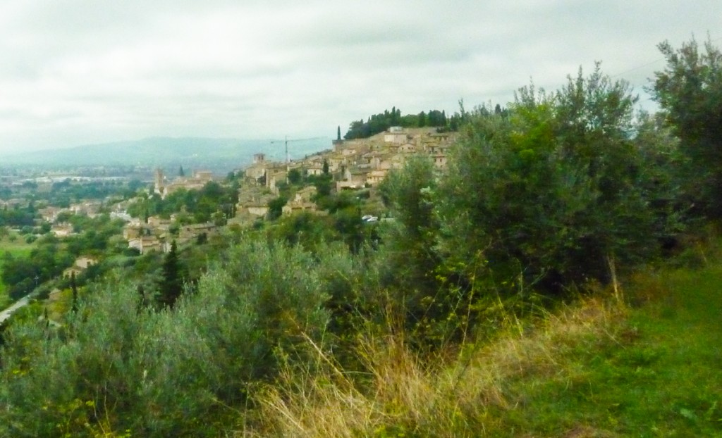 bibenda assisi view of spello private bike tours umbria italiaoutdoors food and wine