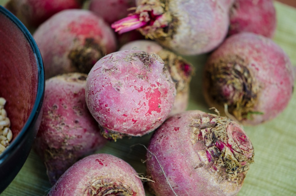 raw beets bike tours italy italiaoutdoors food and wine