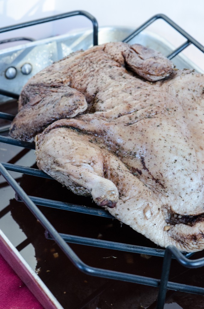 duck ready for oven ski tours dolomites italiaoutdoors food and wine