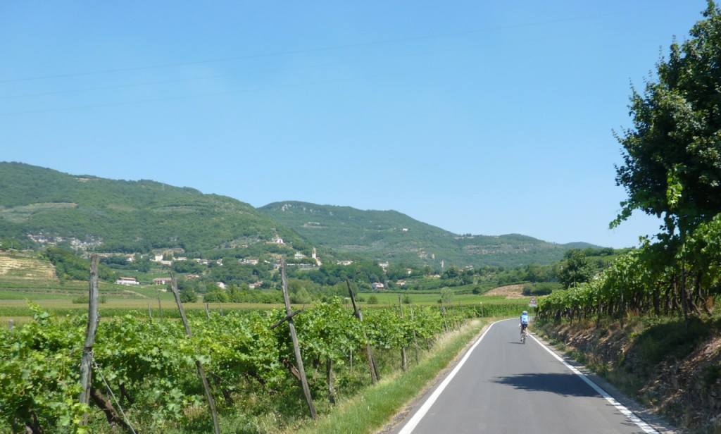 cycling thru vineyards bike wine tours italy italiaoutdoors food and wine