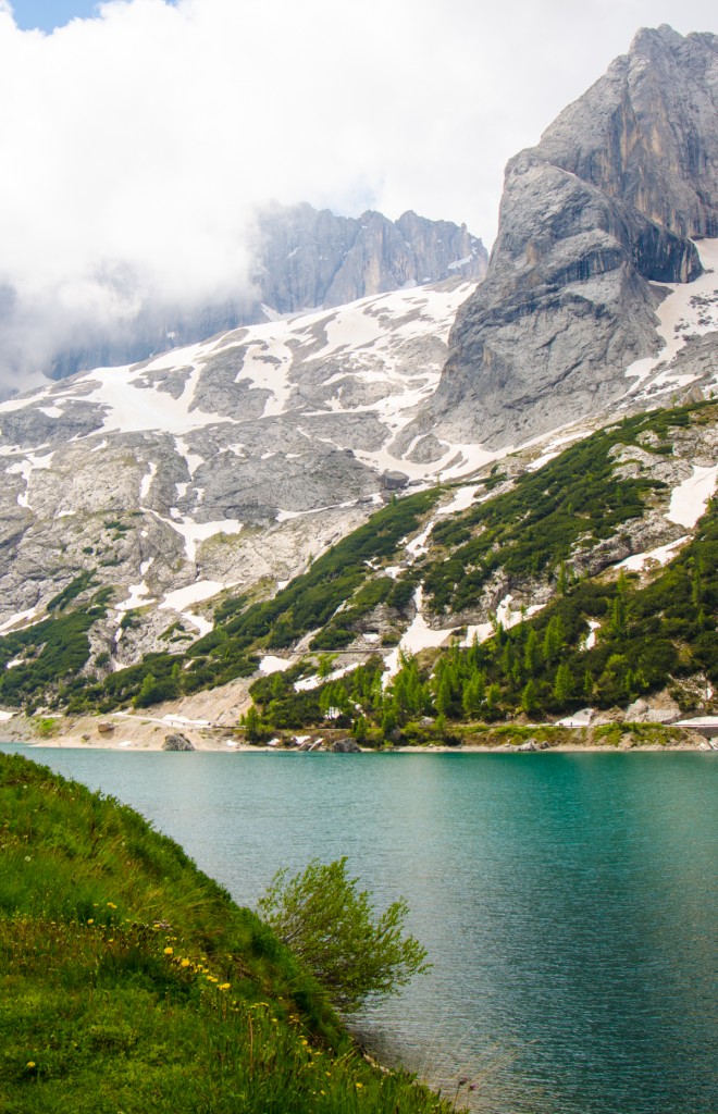 dandelions passo fedaia bike tours italy