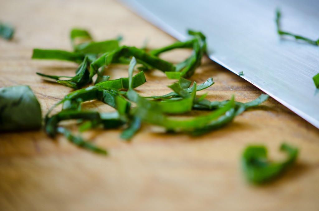 chiffonade basil leaves wine bike tours italy