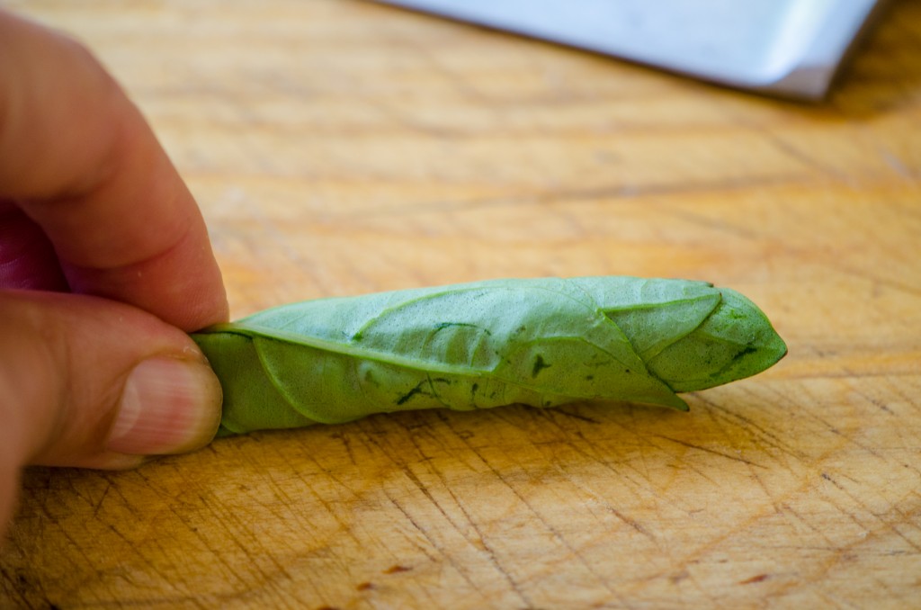 rolled basil leaves ski holidays italy