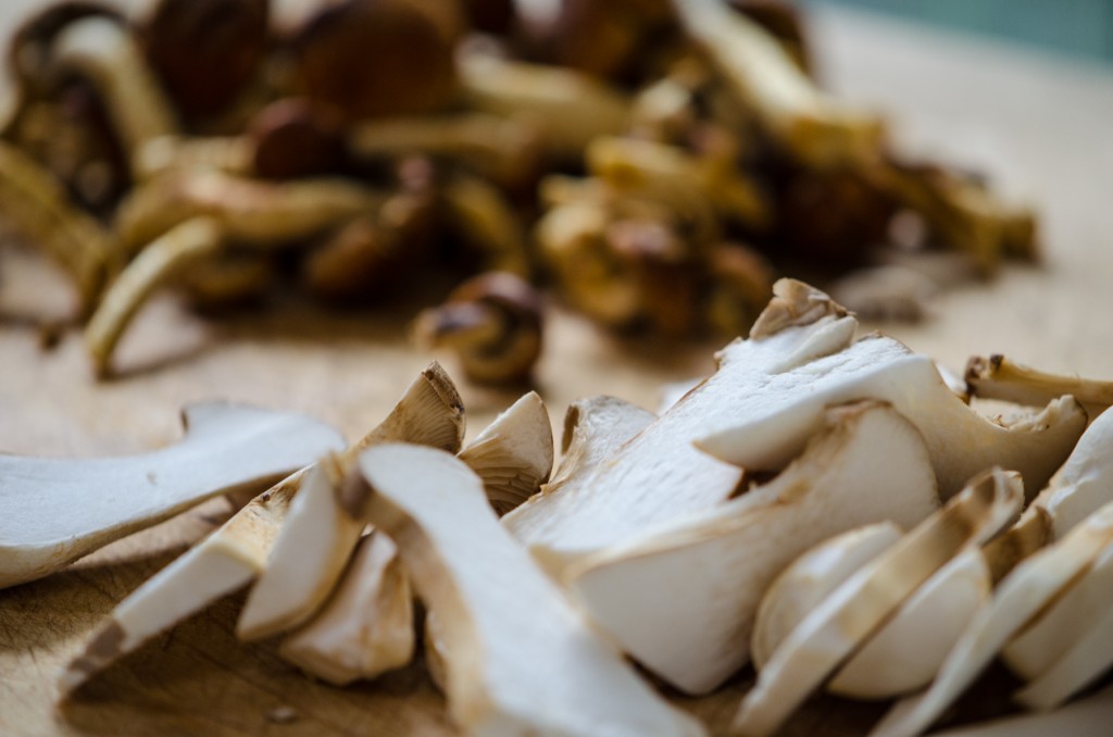 sliced porcini italiaoutdoors private ski tours italy