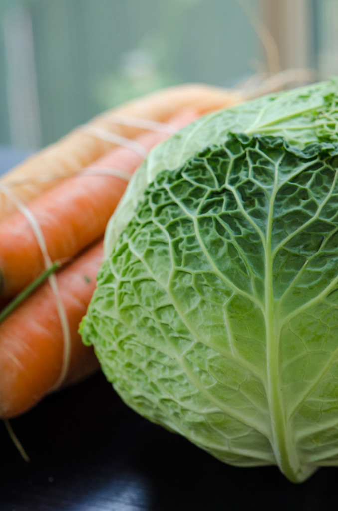 cabbage carrots private bike tours italy