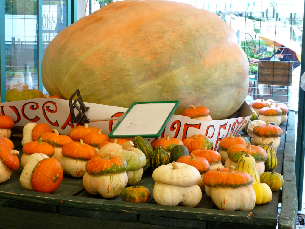 pumpkins at market italy private bike tours