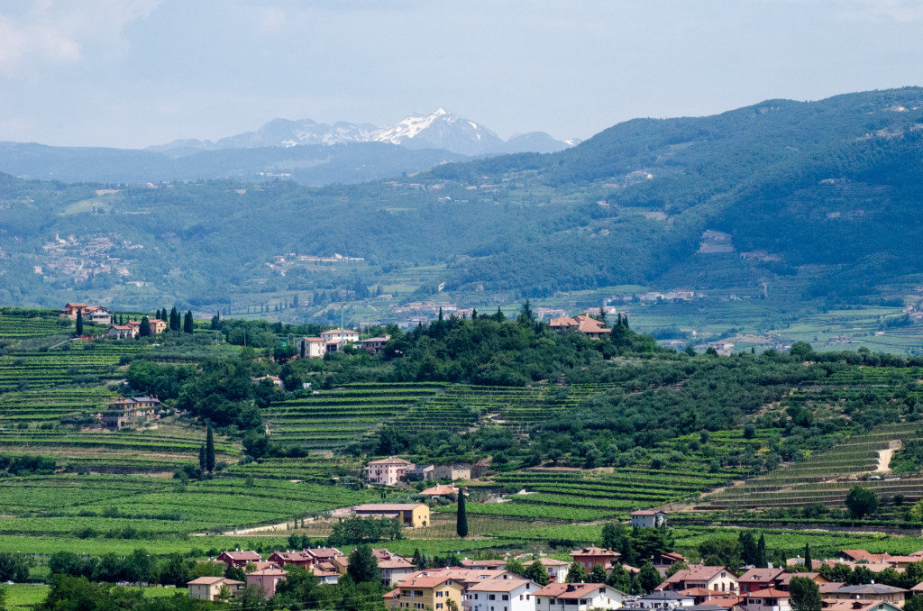 valpolicella view custom bike tours italy