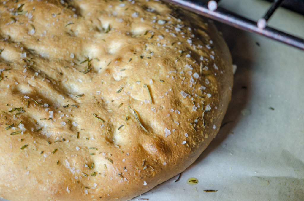 foccacia oven bike tours italy