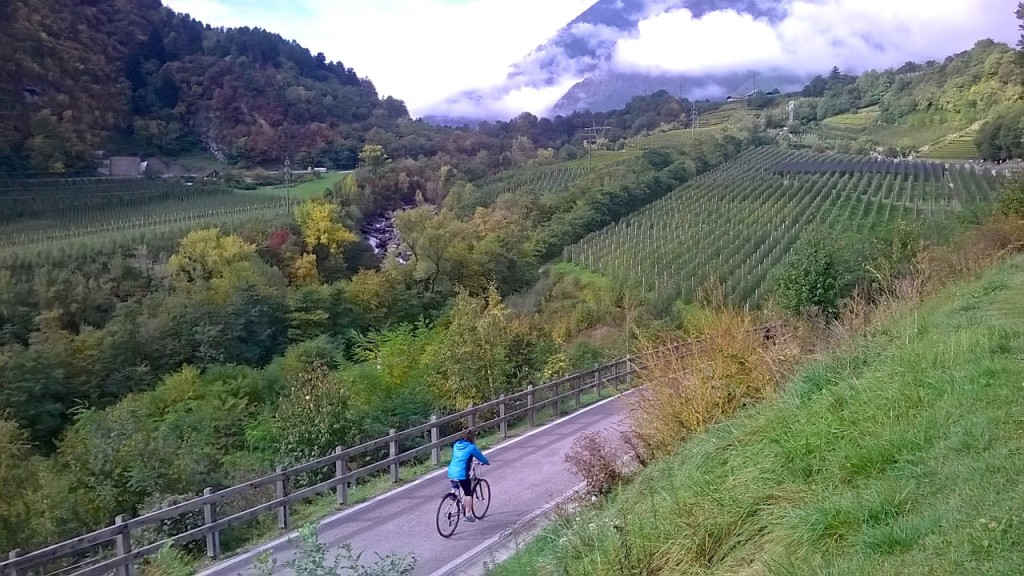 val-venosta-cycling-private-tours-italy