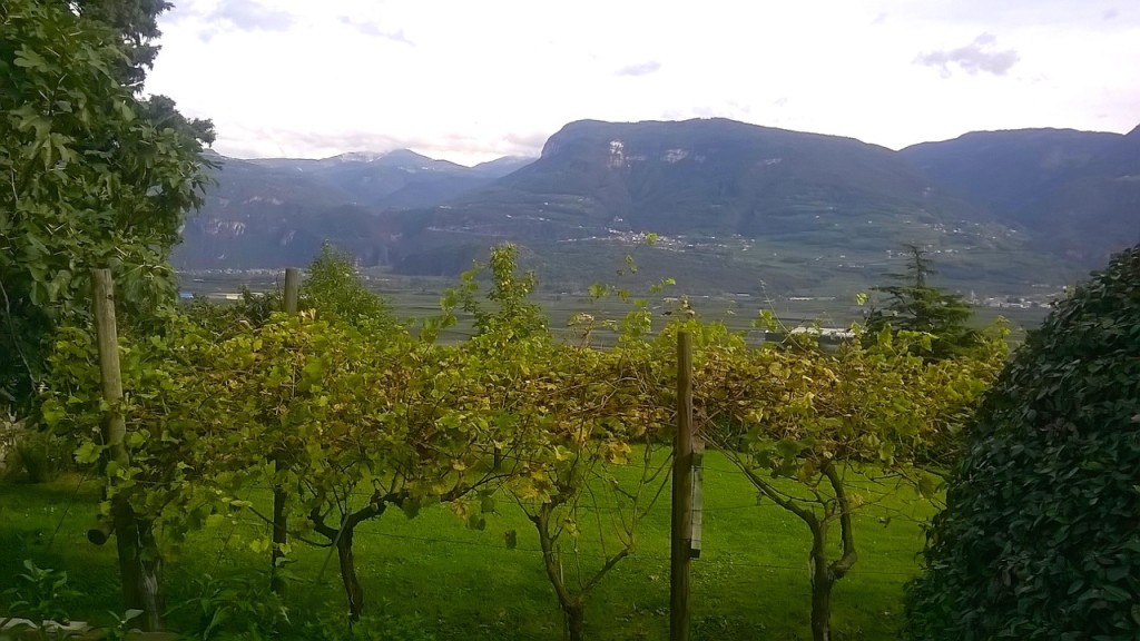 sudtirol-wine-road-cycling-tours-italy
