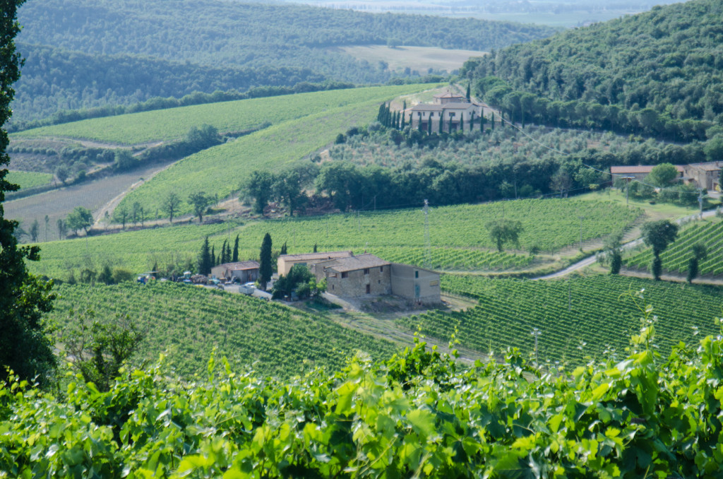 bruschetta-tuscany-view-private-tours