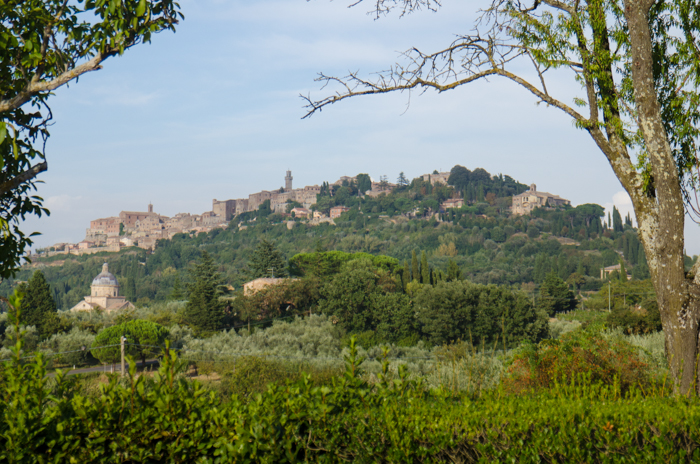 Tours of Tuscany Italy