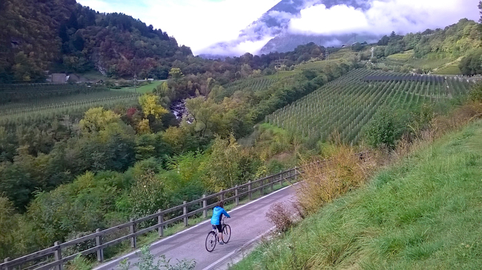 val-venosta-path-private-bike-tours-italy