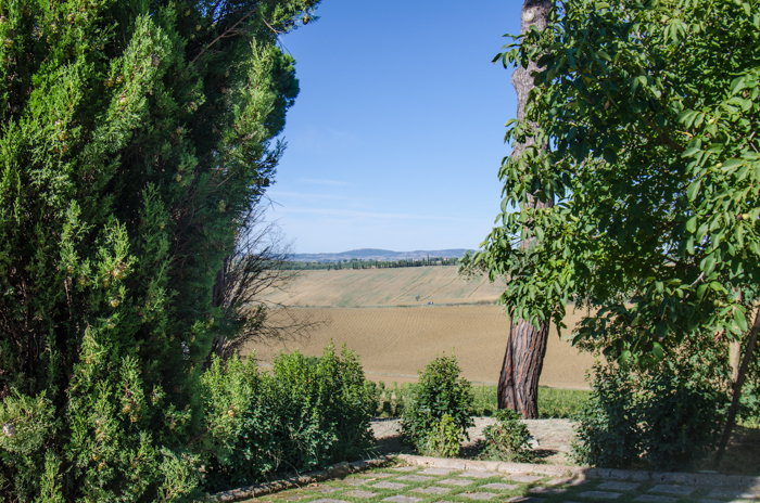 view-avignonesi-walking-tours-tuscany