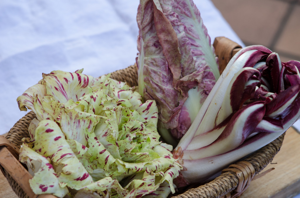 radicchio-varities-private-walking-tours-italy-italiaoutdoors