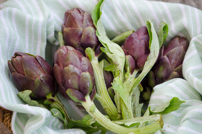 artichokes-venice-private-walking-tours-italiaoutdoors