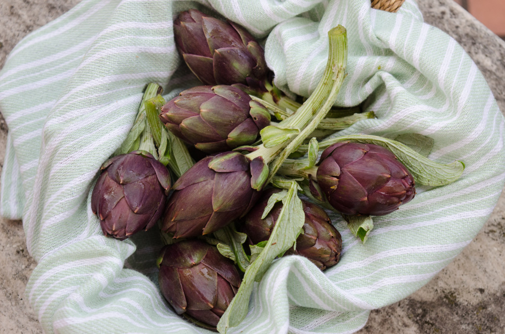 carciofi-violetti-basket-italy-walking-tours-italiaoutdoors