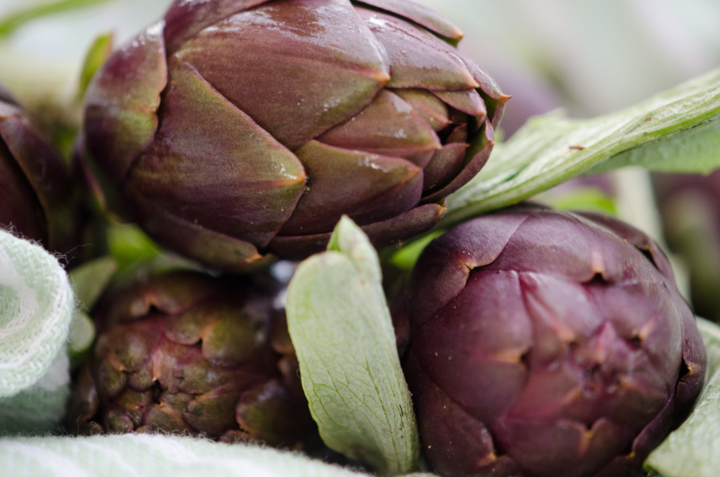 carciofi-violetti-close-italy-walking-tours-italiaoutdoors